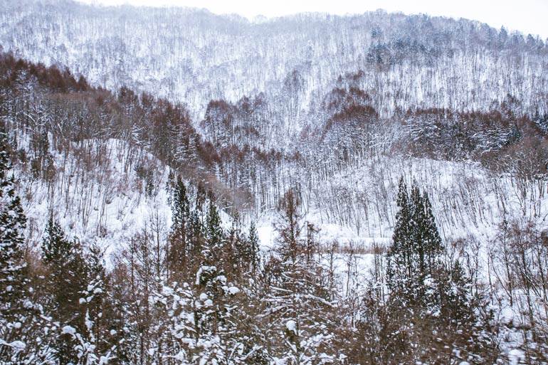 Predict Weather in Takayama
