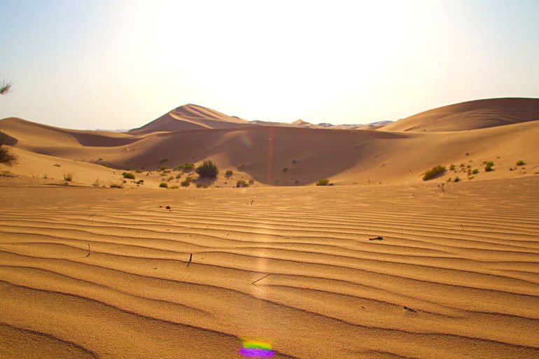 Embrace the Sand Dunes when Visiting Abu Dhabi