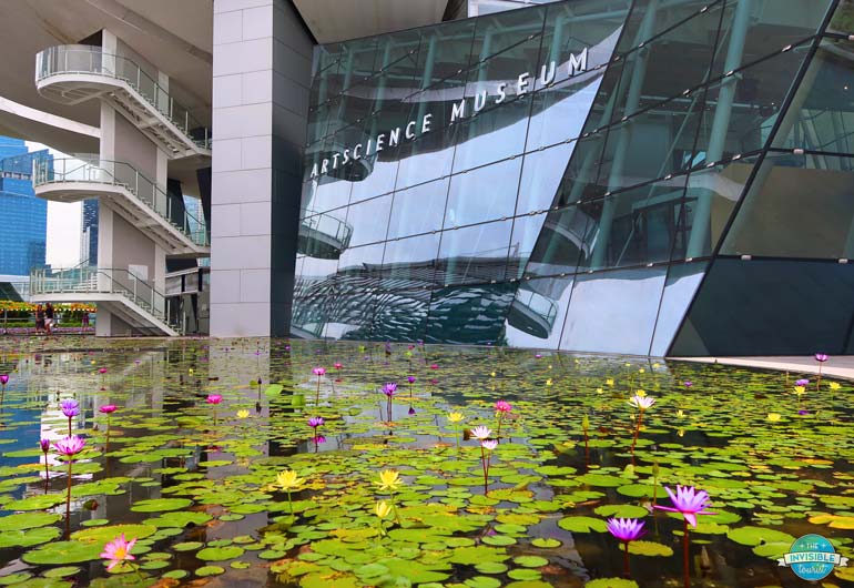 Art Science Museum Singapore