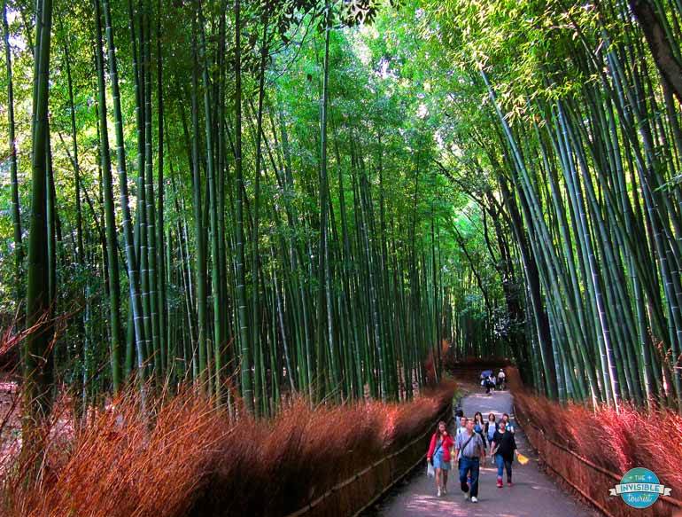 Arashiyama Bamboo Forest, Kyoto