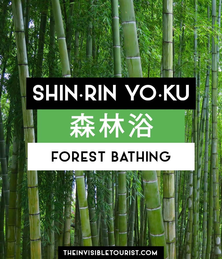 Japanese Nature Words: Shinrin Yoku | The Invisible Tourist