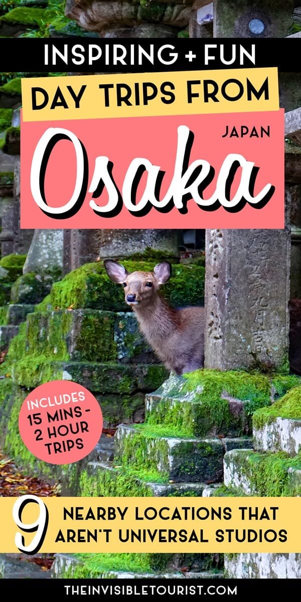 Best Day Trips from Osaka That Aren't Universal Studios | The Invisible Tourist