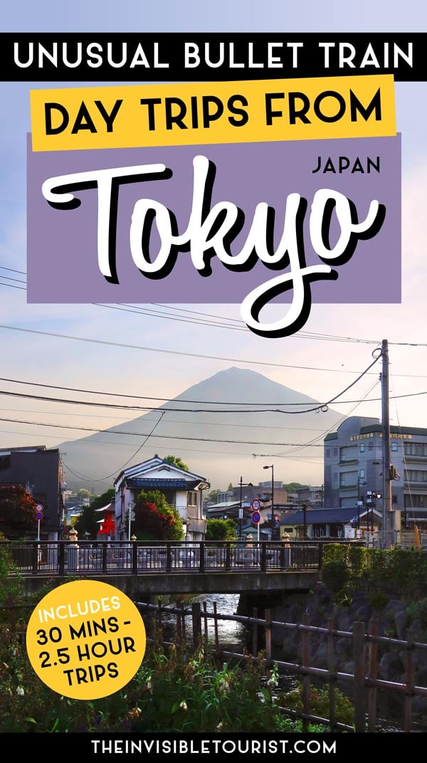 Unusual Day Trips from Tokyo by Bullet Train [Year-Round] | The Invisible Tourist