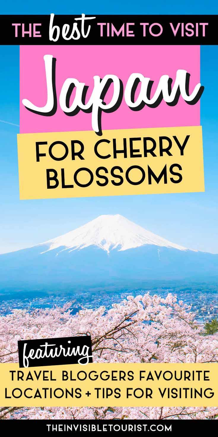 When is the Best Time to Visit Japan for Cherry Blossoms | The Invisible Tourist