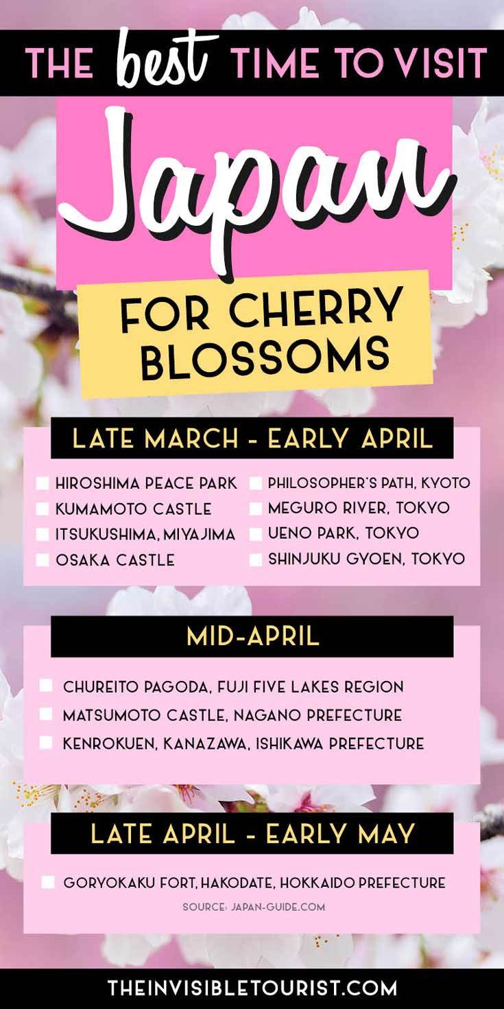 When is the Best Time to Visit Japan for Cherry Blossoms | The Invisible Tourist