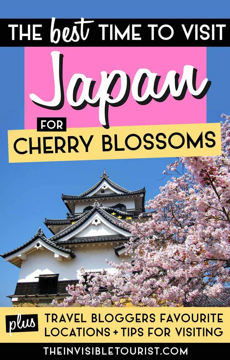 When is the Best Time to Visit Japan for Cherry Blossoms | The Invisible Tourist