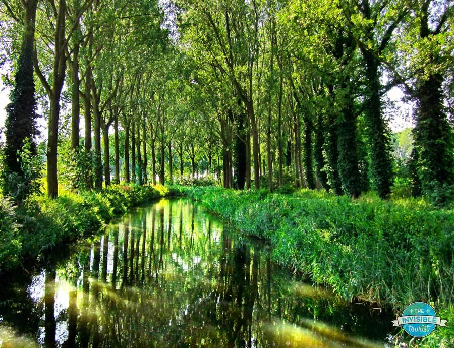 Moat and trees surrounding Damme, Belgium