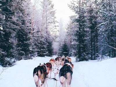Finland Travel