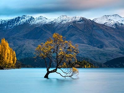 New Zealand Travel