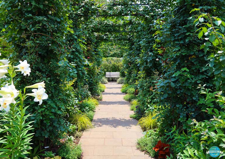 Future Rose Garden Yokohama