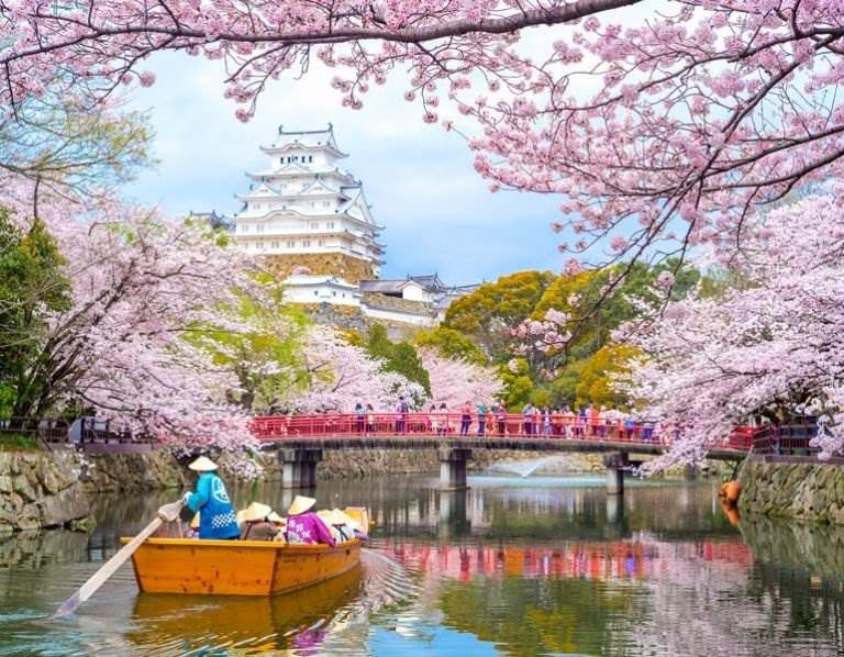 Planning a Trip to Japan: 20+ Essential Tips to Know Before You Go | The Invisible Tourist