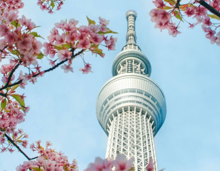 Enjoying Spring in Japan: Where to Go, What to Pack (& How to Avoid Crowds) | The Invisible Tourist x Lisa in Japan