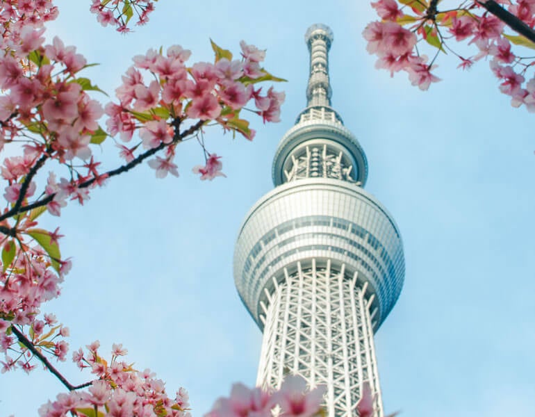 Enjoying Spring in Japan: Where to Go, What to Pack (& How to Avoid Crowds) | The Invisible Tourist x Lisa in Japan
