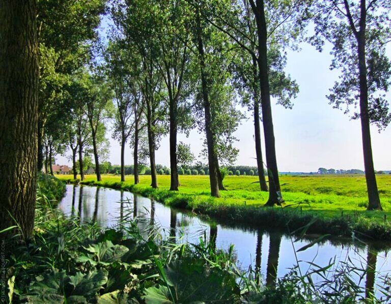 Damme, Belgium: The Perfect Day Trip from Bruges | The Invisible Tourist