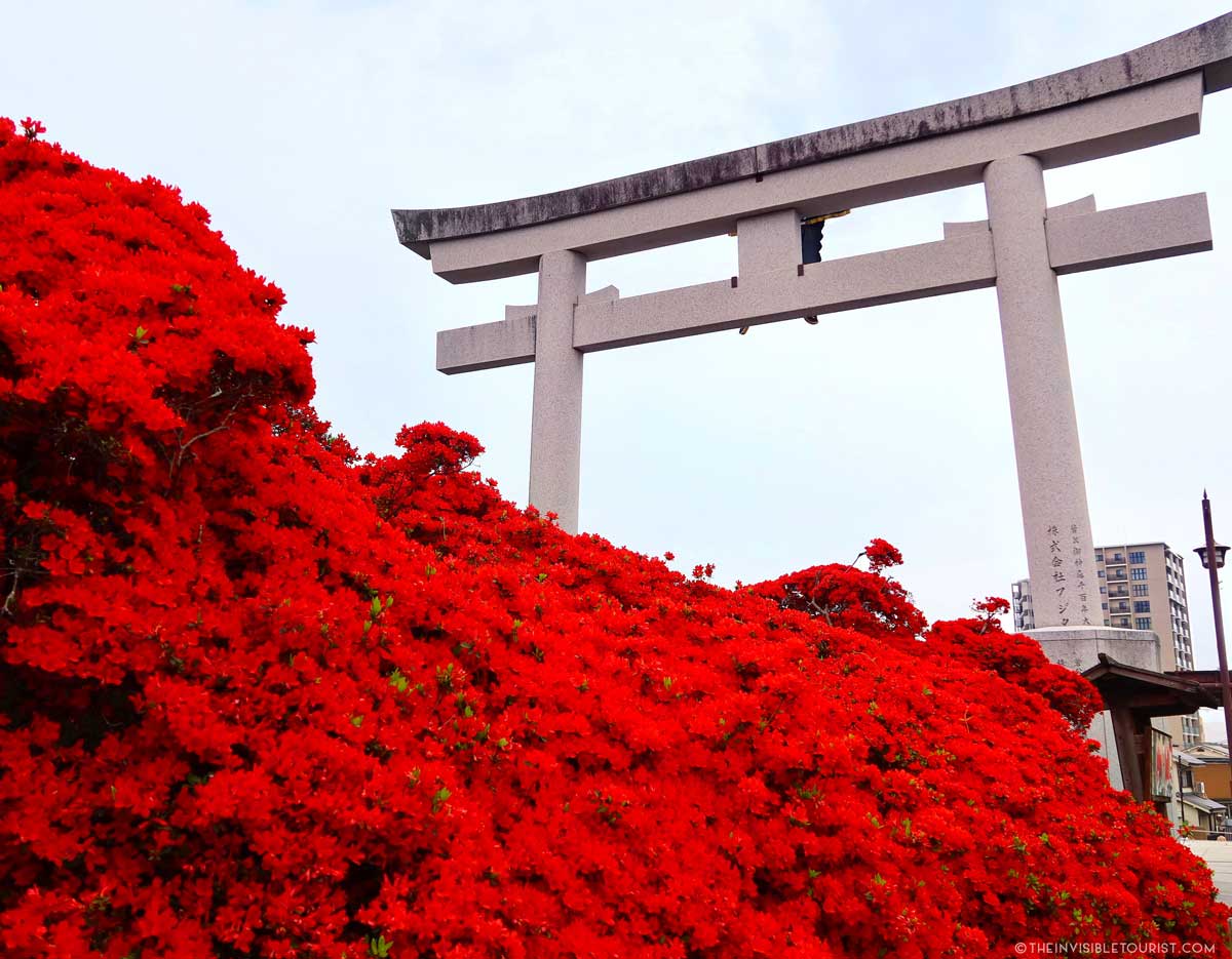 Spring Flowers in Japan That Aren't Sakura | The Invisible Tourist