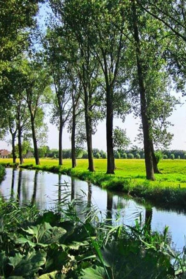 The Perfect Day Trip from Bruges: Damme, Belgium | The Invisible The Perfect Day Trip from Bruges: Damme, Belgium | The Invisible Tourist