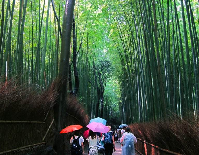 Overtourism: Is Japan Becoming a Victim of its Own Success?
