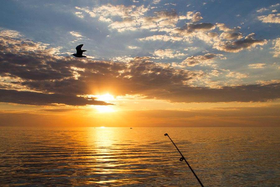 Frankston Fishing