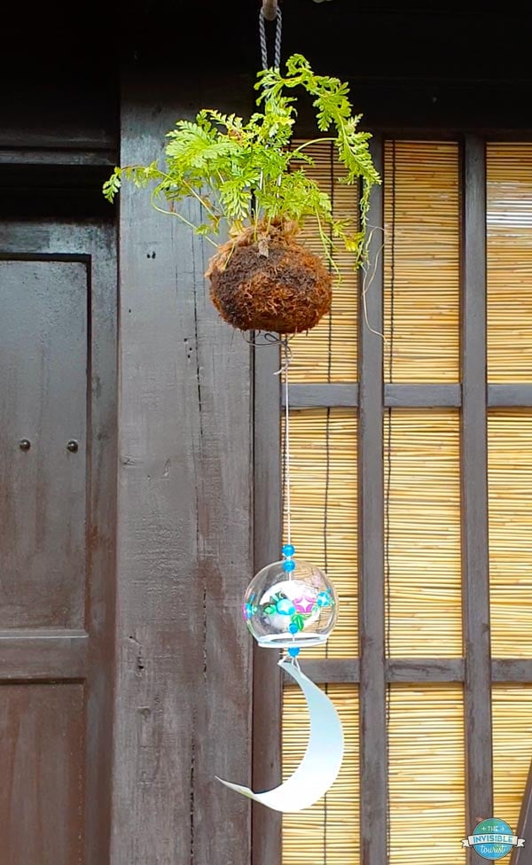 Furin during Japan summer