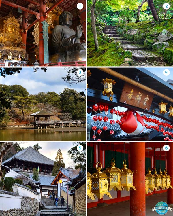 Things to do in Nara on a two week Japan trip