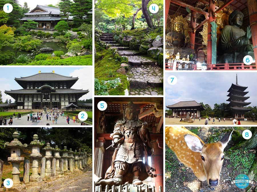 Osaka to Nara Day Trip Highlights