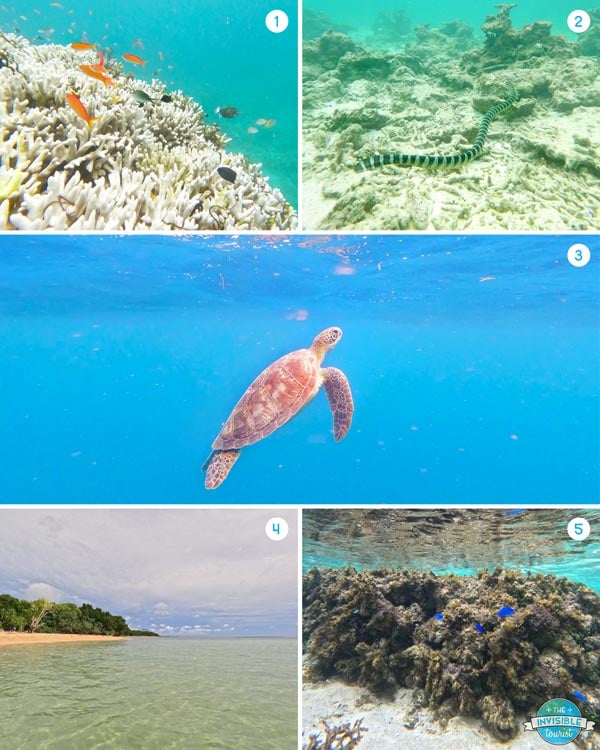 Snorkelling in Okinawa, Japan
