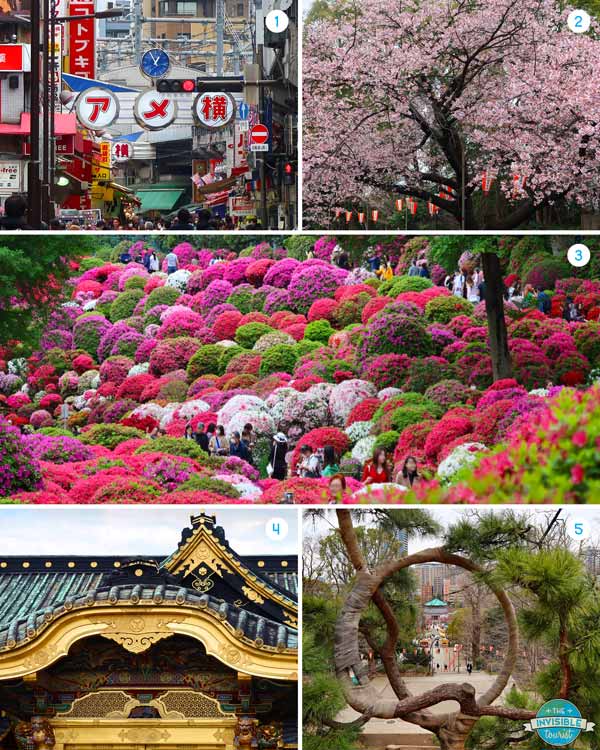 5 - 6 Day Tokyo Itinerary: Ueno Neighbourhood