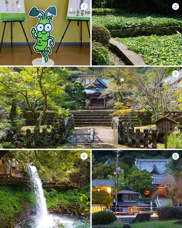Things to do in Izu Peninsula, Japan