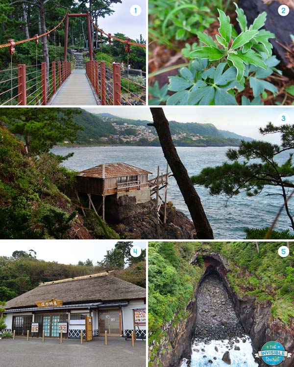 The Jogasaki Coast is a must for any Izu Peninsula itinerary
