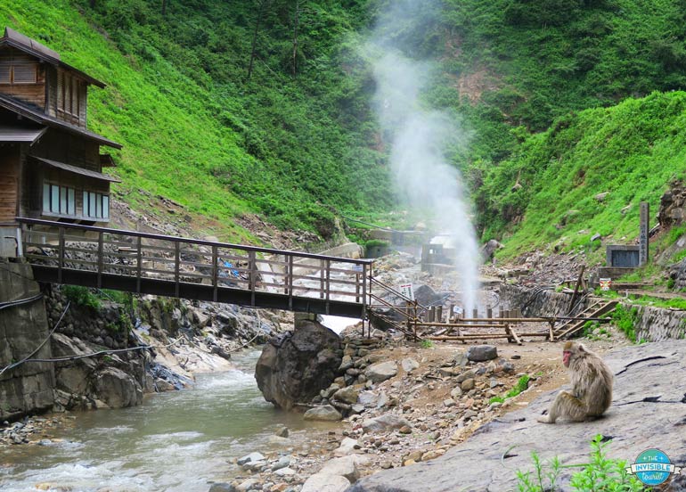 Visiting the snow monkeys is a popular addition to any Nagano itinerary