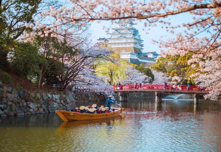 Best time to visit Japan for cherry blossoms: Himeji Castle in early April