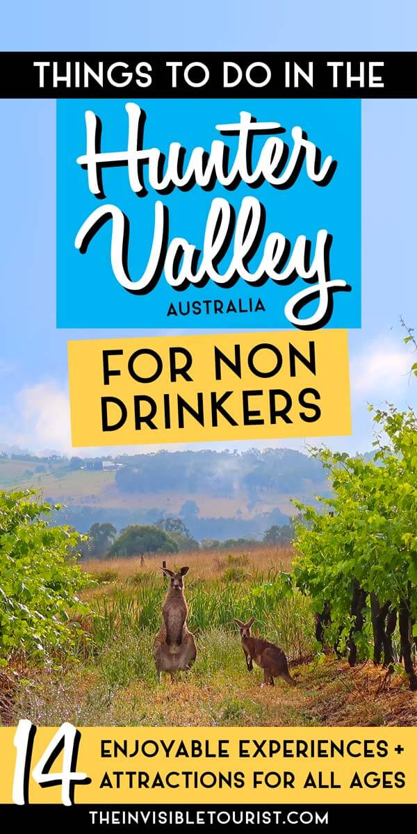 14 Enjoyable Things to Do in the Hunter Valley for Non-Drinkers | The Invisible Tourist
