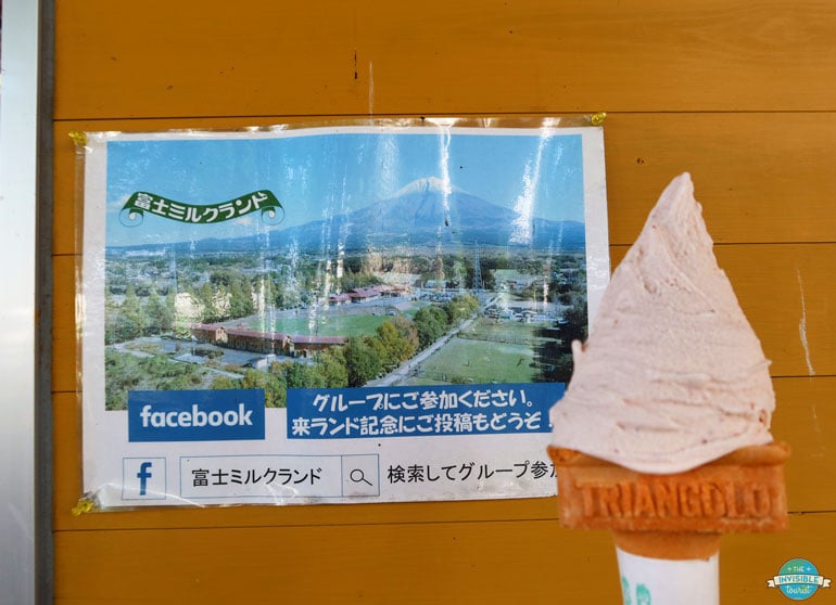 Strawberry Ice Cream at Milk Land, Fujinomiya