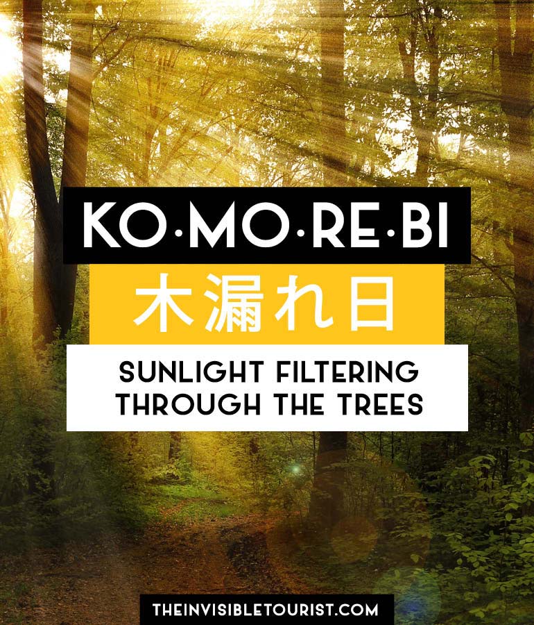 Japanese Nature Words: Komorebi