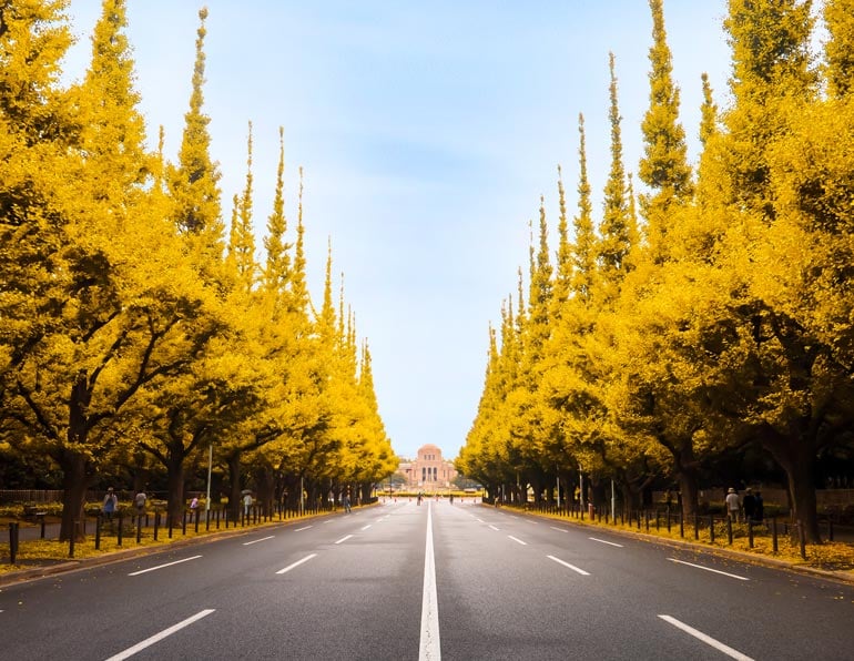 Jingu Gaien Ginkgo Avenue, Minato: Stunning Tokyo Street in Autumn