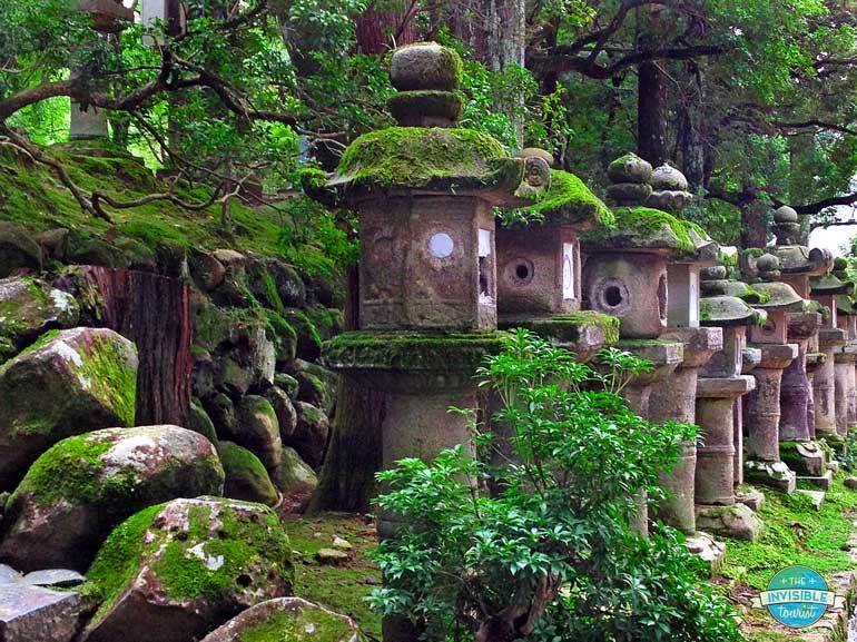 Kasuga Taisha Stone Lanterns