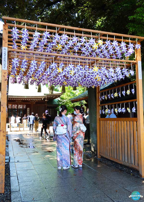 Kawagoe Hikawa Shrine in Japanese Summer 