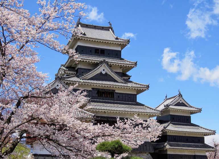 Best time to visit Japan for cherry blossoms: Matsumoto Castle in mid-April