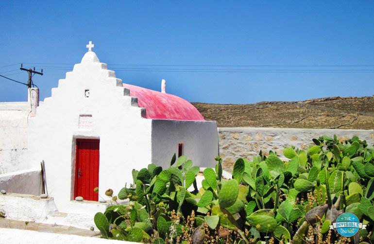 Cacti on Mykonos, Greece