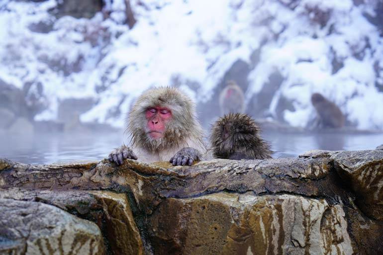 onsen in japan