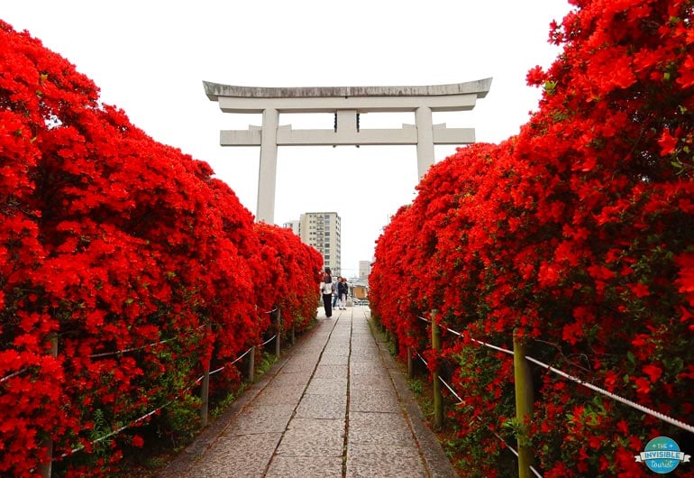 Nagaoka Tenmangu Shrine is a stunning hidden gem in Kyoto during spring