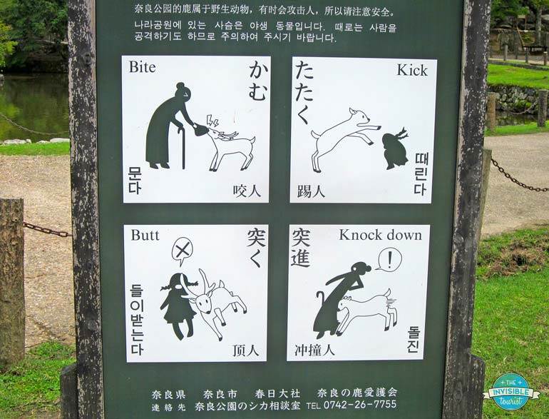 Deer Warning Sign in Nara