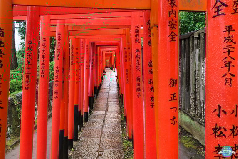 Nezu Shrine in Ueno is one of my favourite Tokyo hidden gems