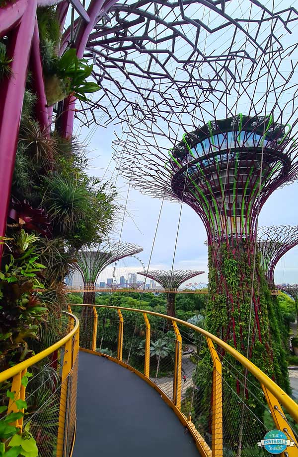 Don't forget to see if your Singapore packing list needs to include a visa