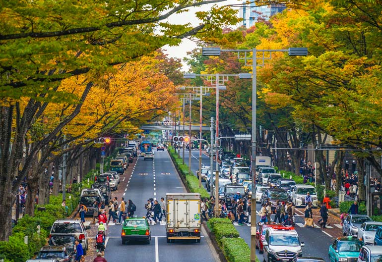 Omotesando, Shibuya: Famous Shopping Street in Tokyo