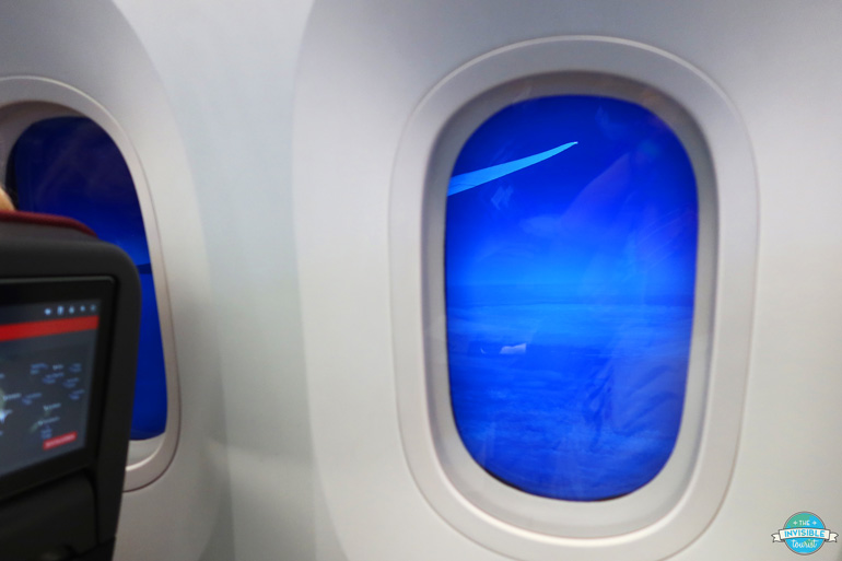 Qantas Dreamliner 787 Flight to Antarctica