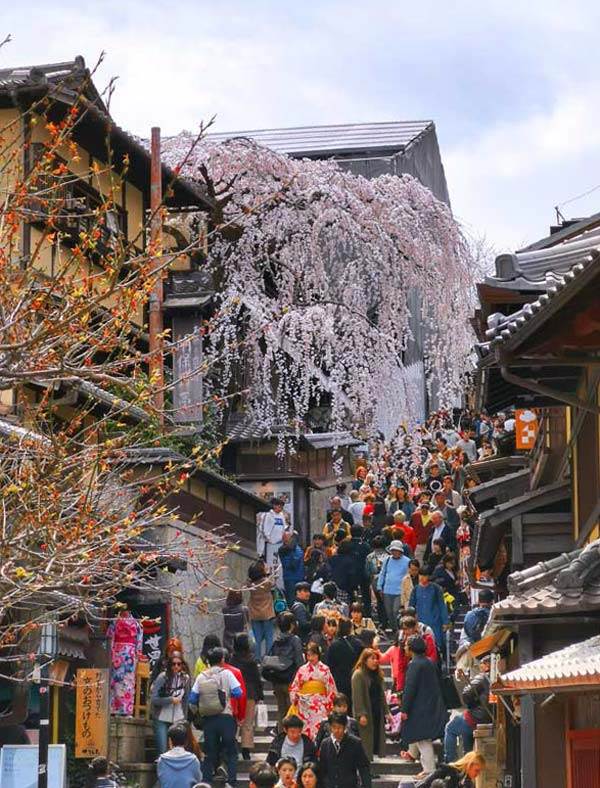Best time to visit Japan for cherry blossoms: Sannenzaka, Kyoto in early April