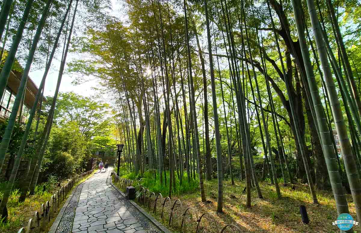 Shuzenji Bamboo Grove, Izu Peninsula