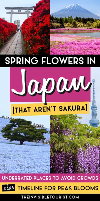 Japanese Spring Flowers That Aren't Sakura to Avoid Crowds | The Invisible Tourist