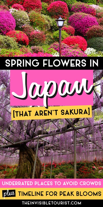 Spring Flowers in Japan That Aren't Sakura | The Invisible Tourist